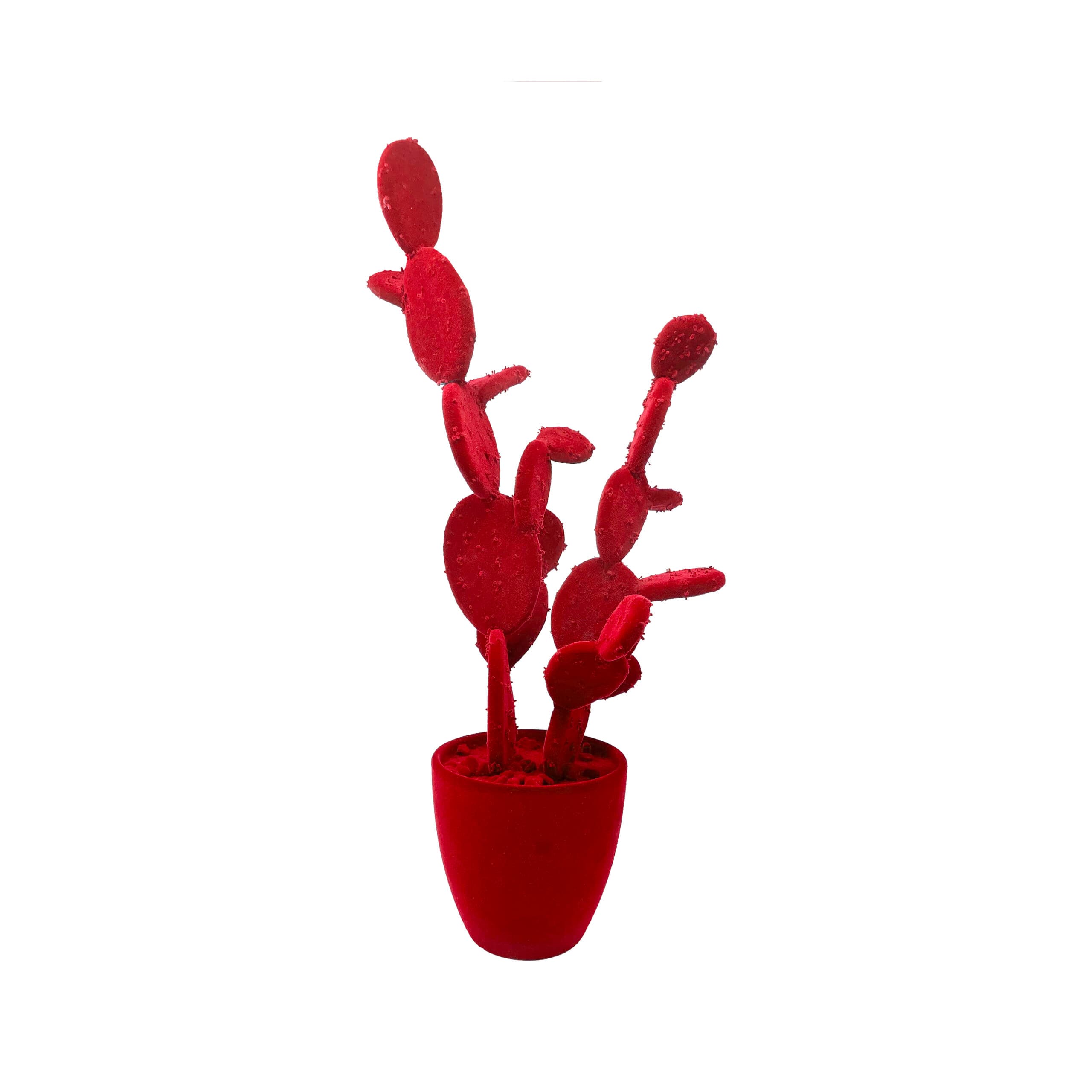 Adriani & Rossi Fico d’India Velvet