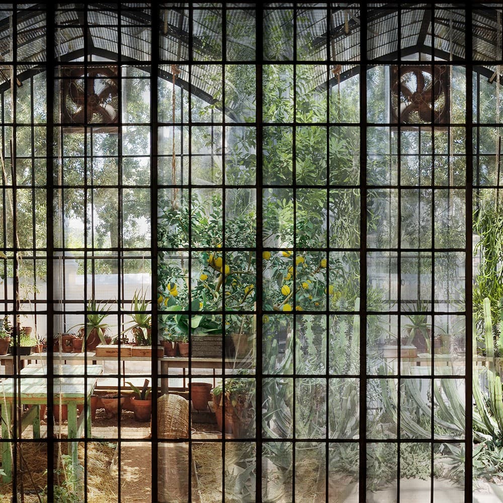 Adriani & Rossi Serra