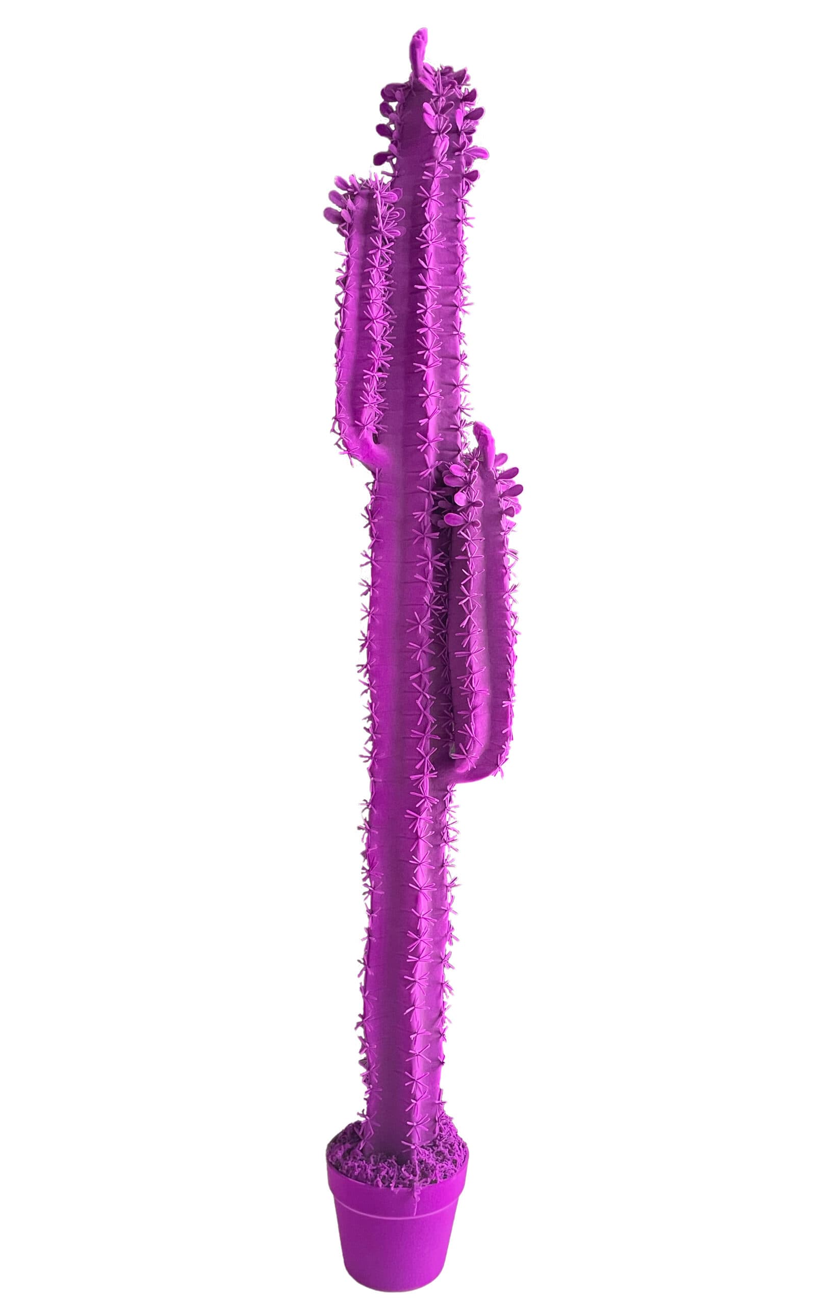 Adriani & Rossi Cactus Cereus h 153 cm