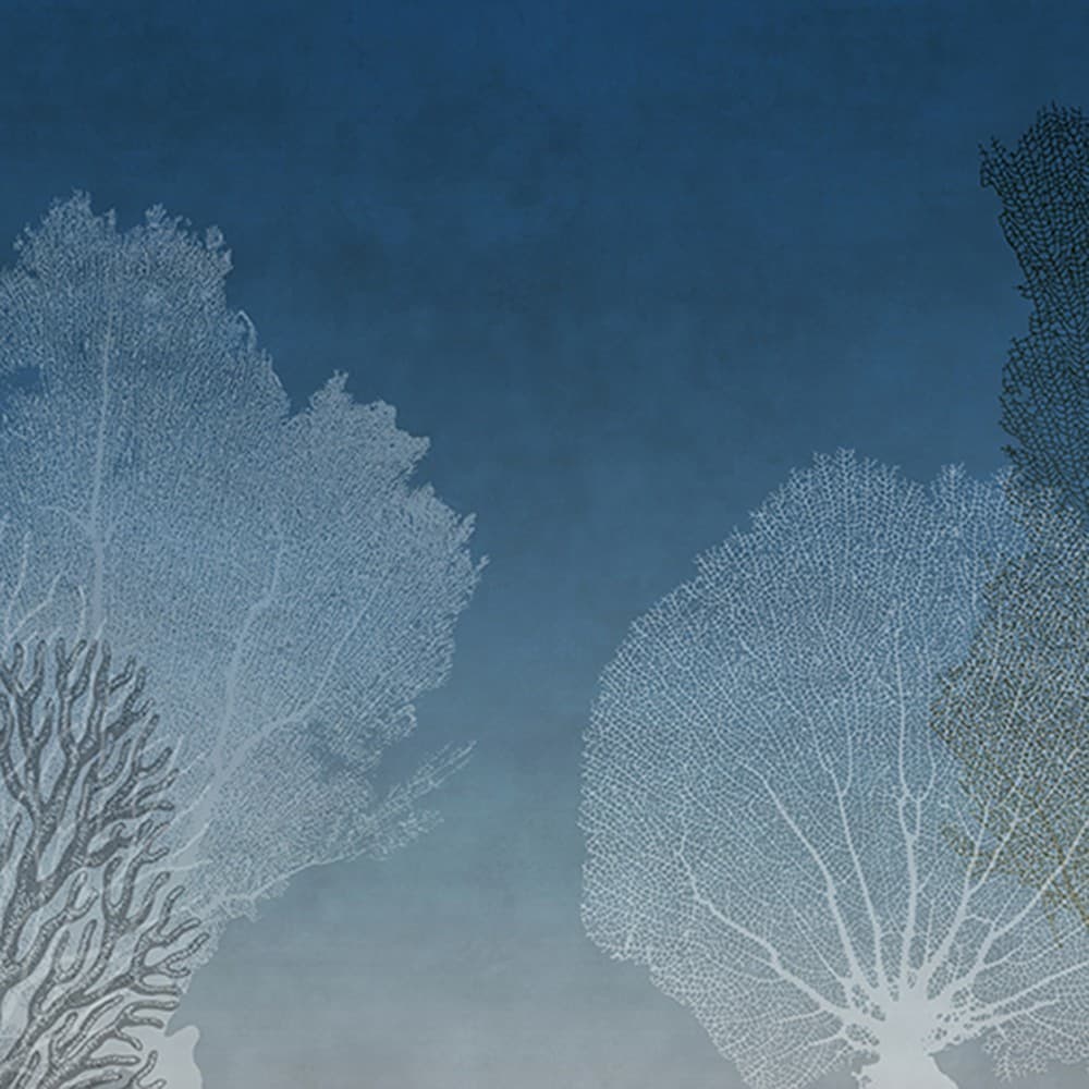 Adriani & Rossi Reef Blu — фото 1