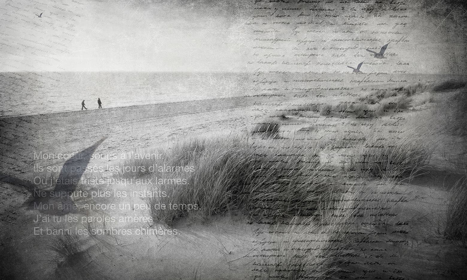 Adriani & Rossi Beach_2 – L.138 H.270 cm