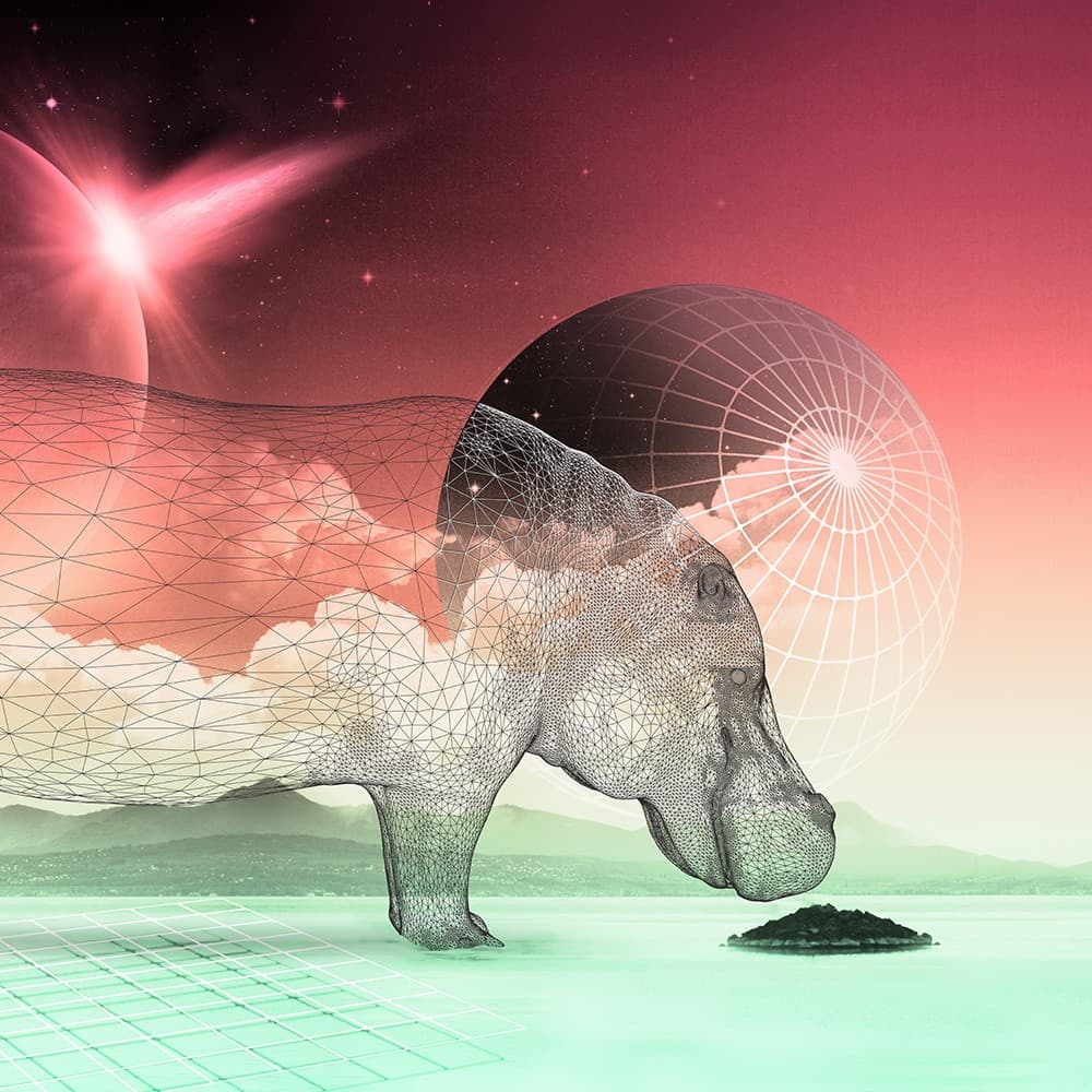 Adriani & Rossi Hippo