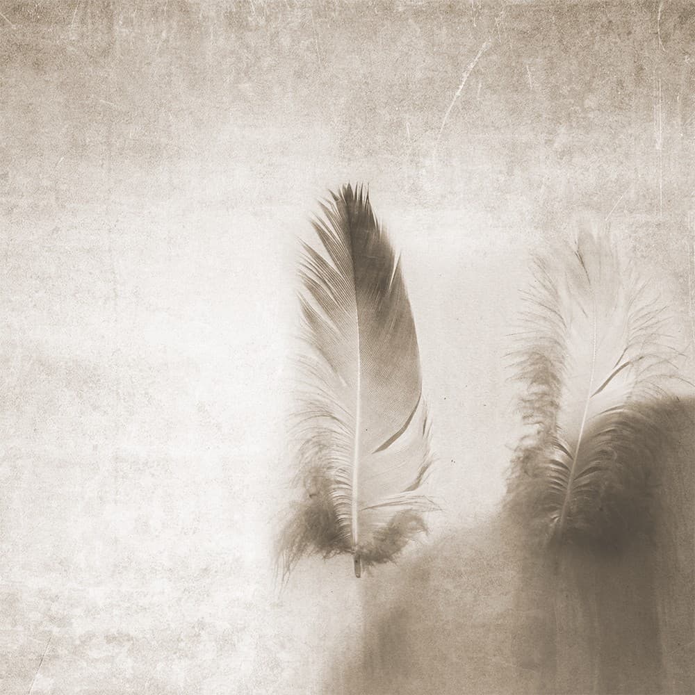 Adriani & Rossi Air_1