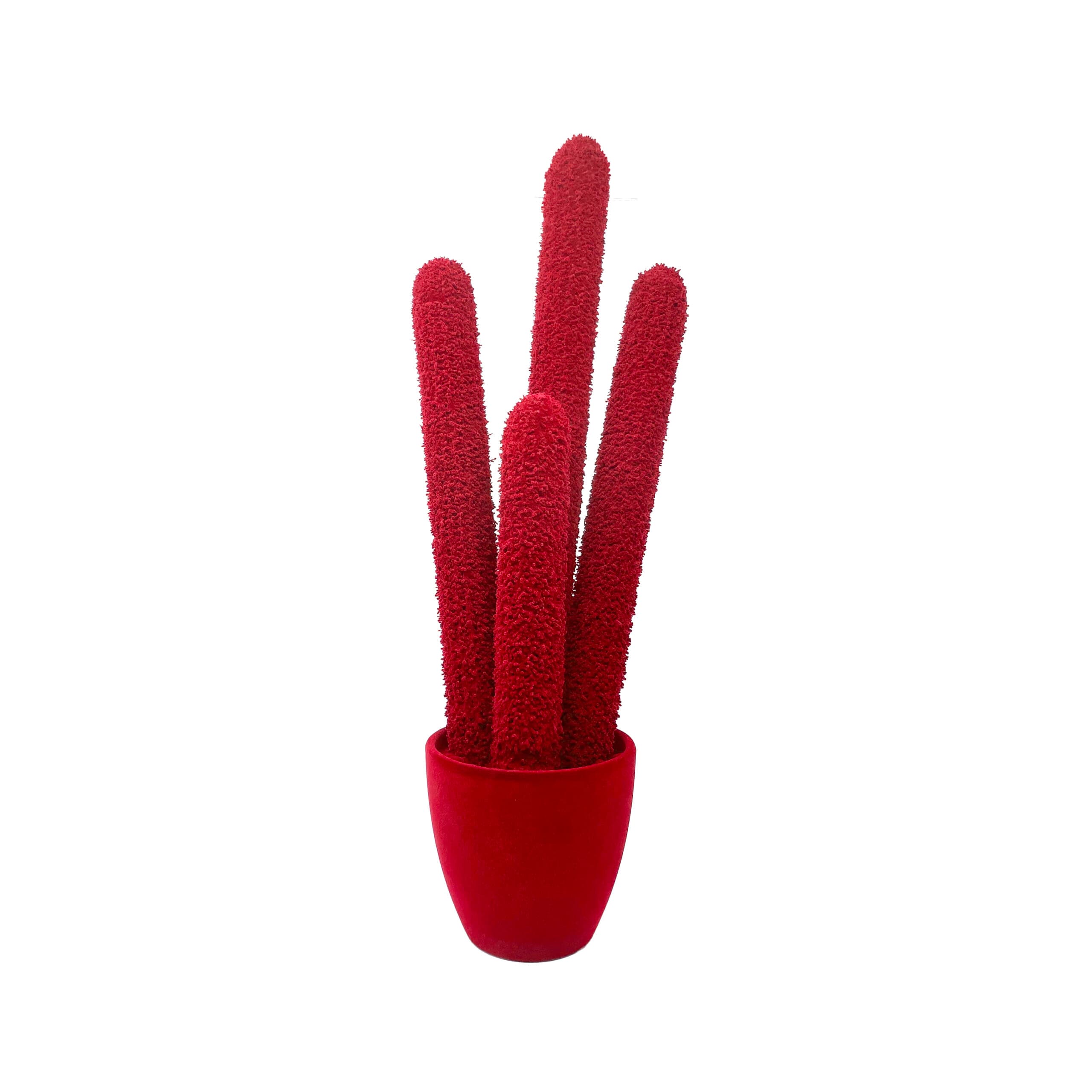 Adriani & Rossi Long Cactus Velvet