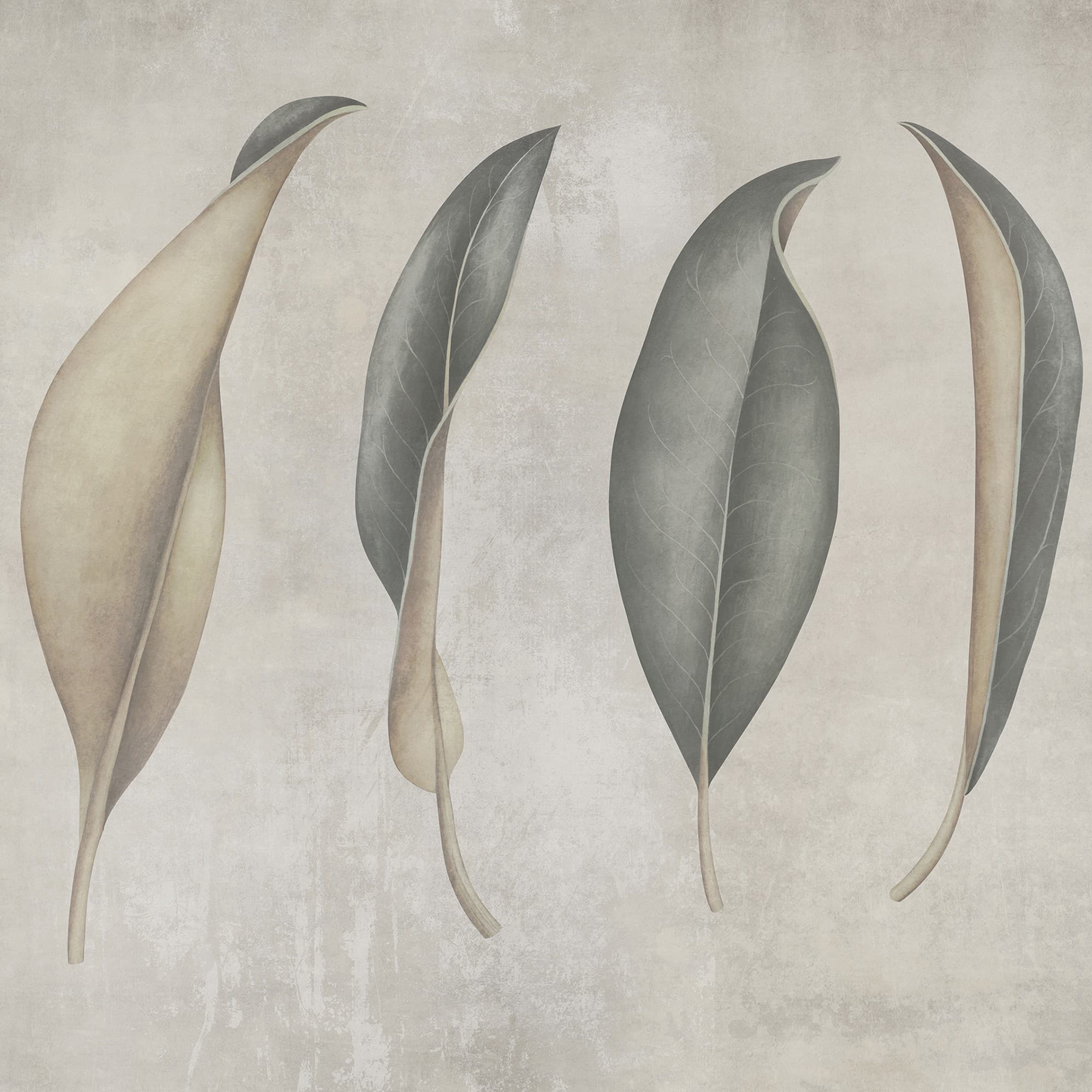 Adriani & Rossi Leafy — фото 1