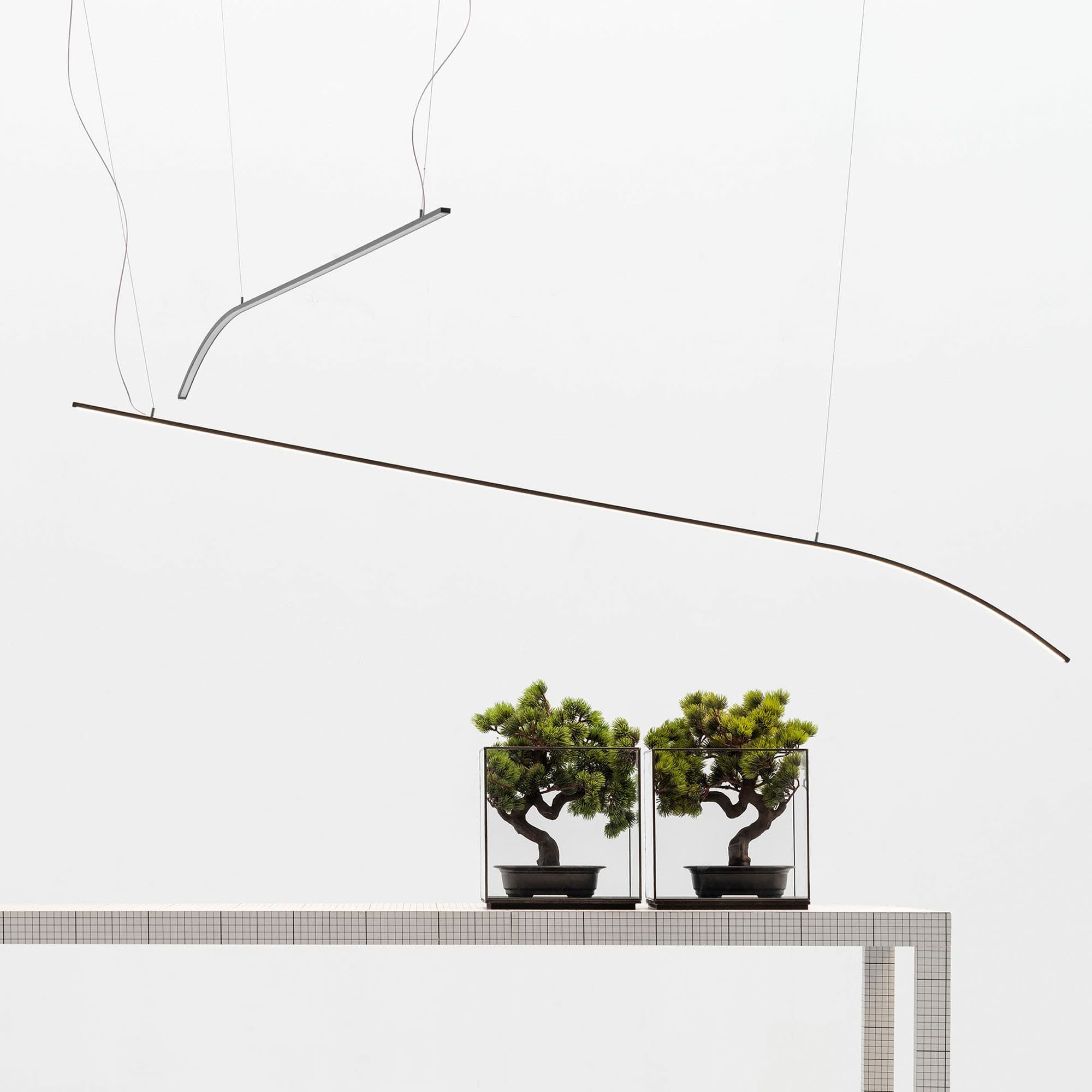 Adriani & Rossi Curvy