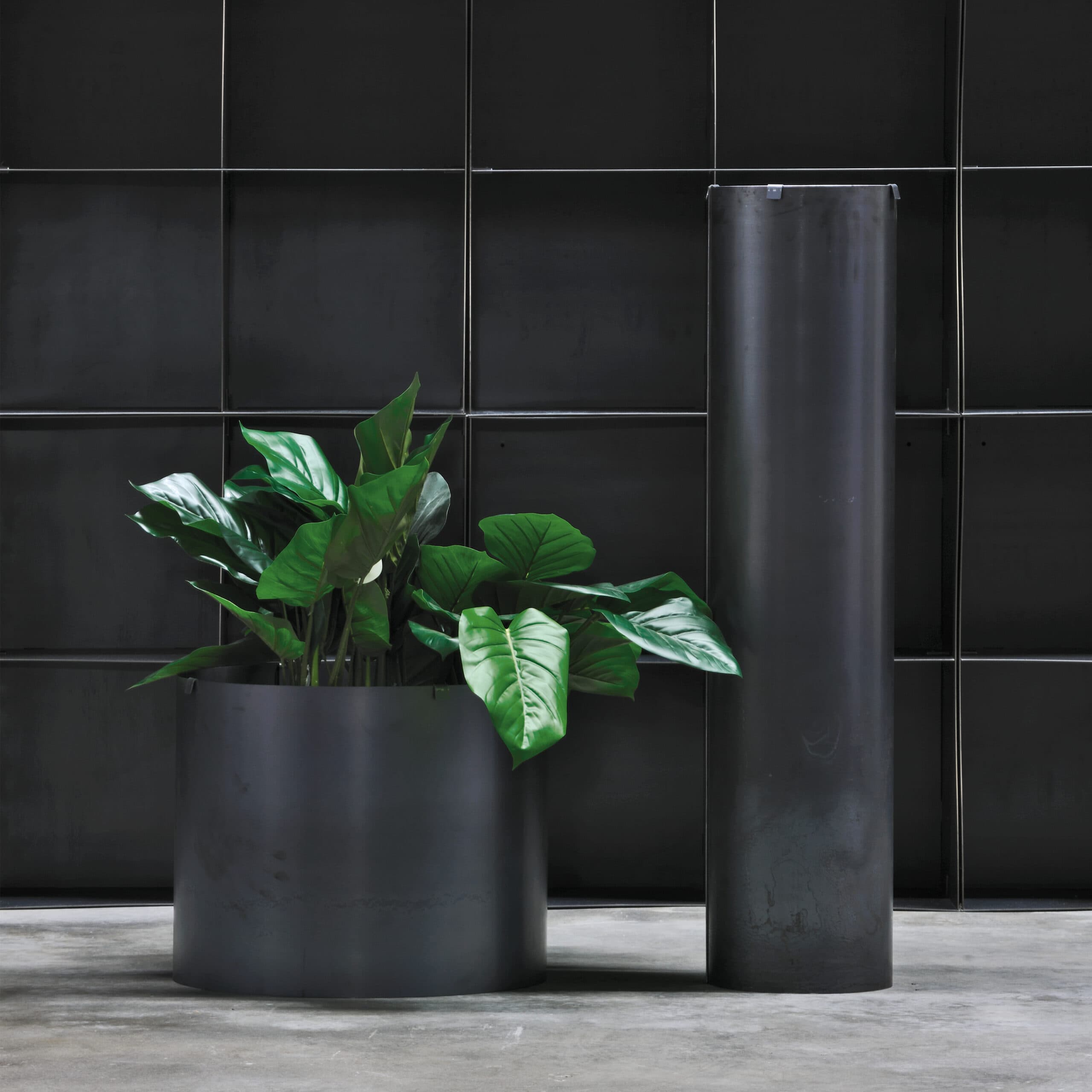 Adriani & Rossi Hugo