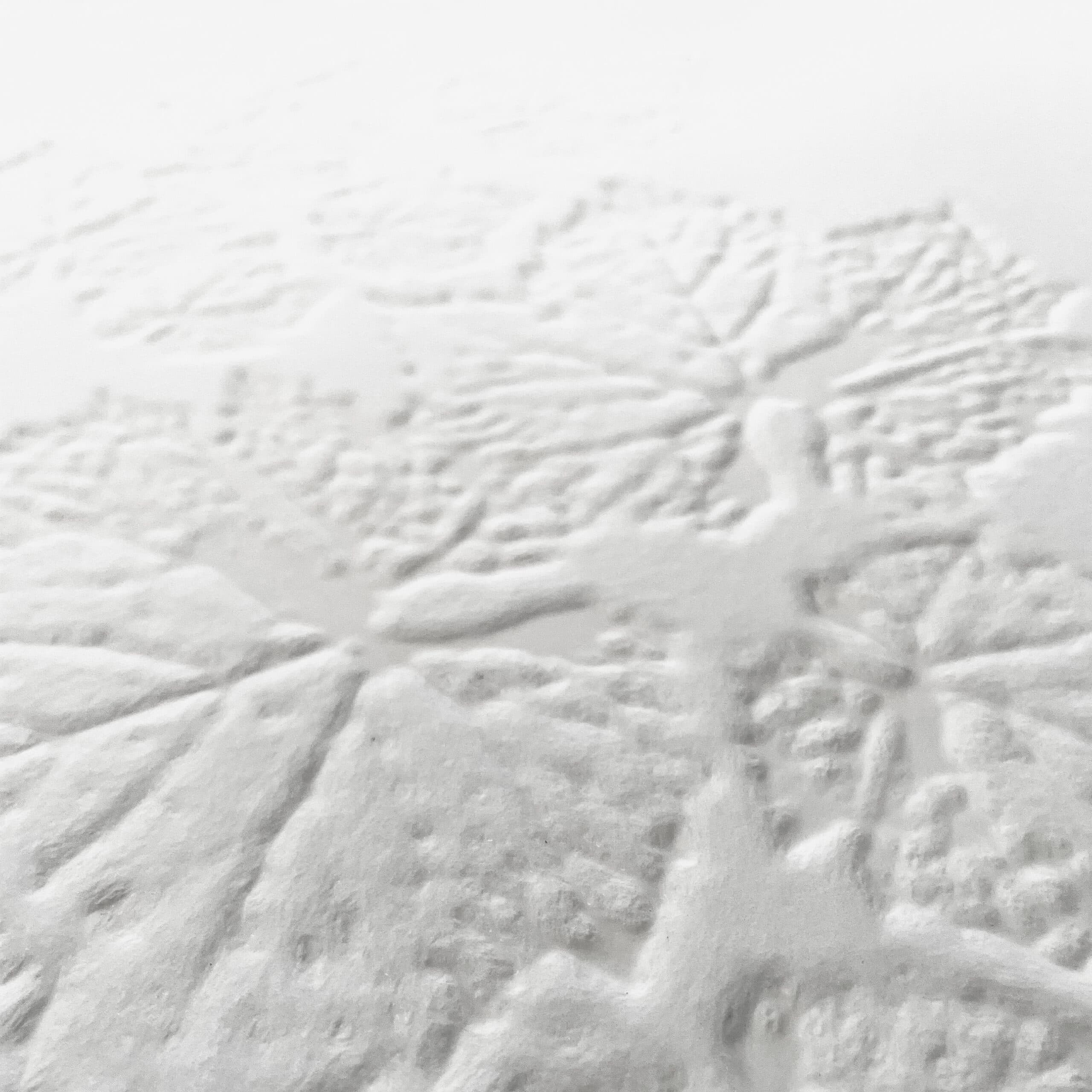 Adriani & Rossi Ivy Leaves – 3D — фото 2