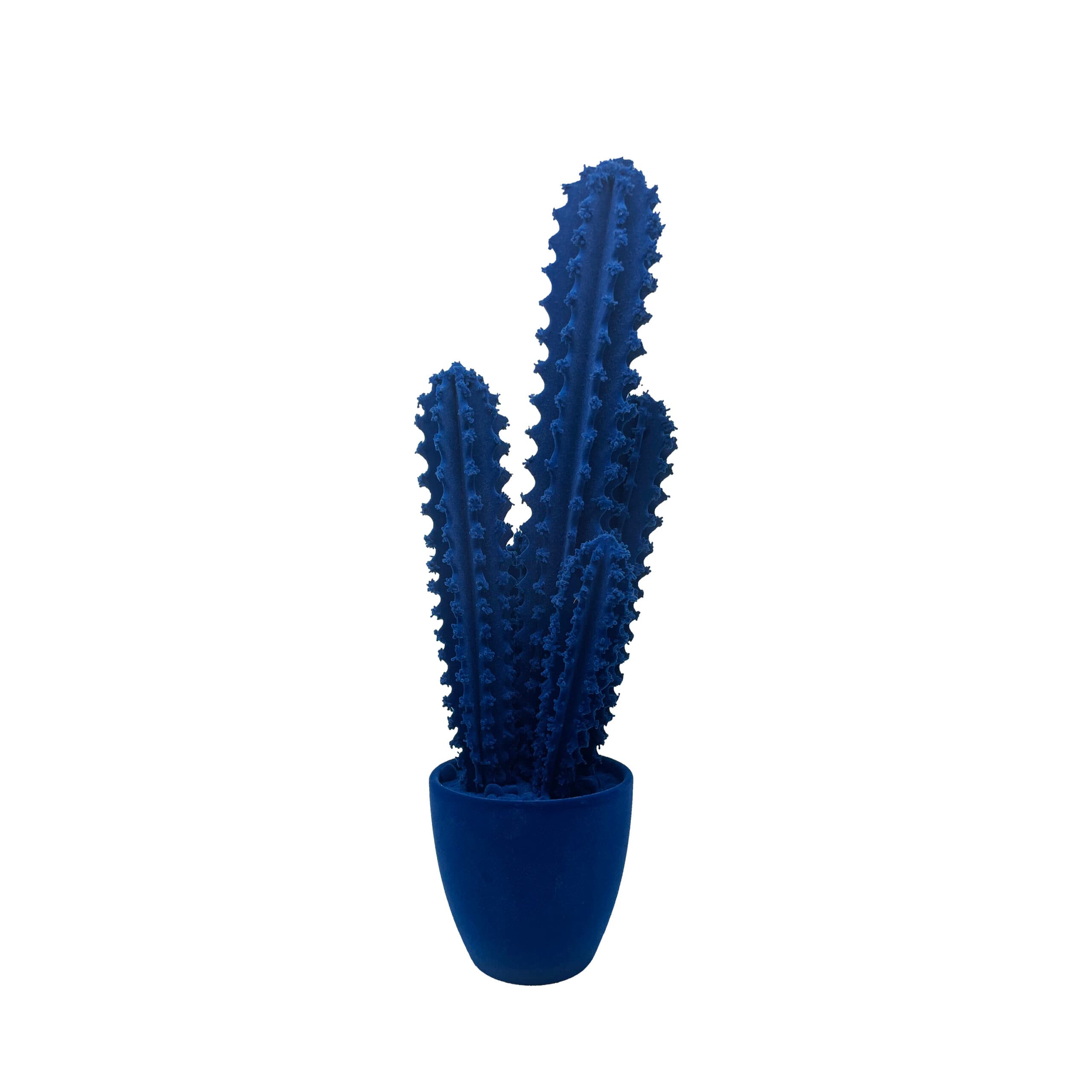 Adriani & Rossi Pickly Cactus Velvet