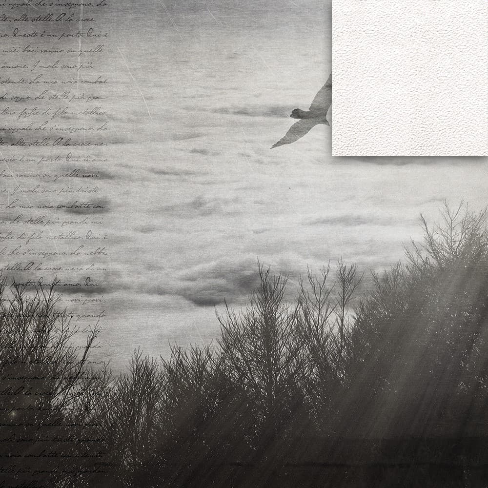 Adriani & Rossi Atmosphere_2 — фото 2