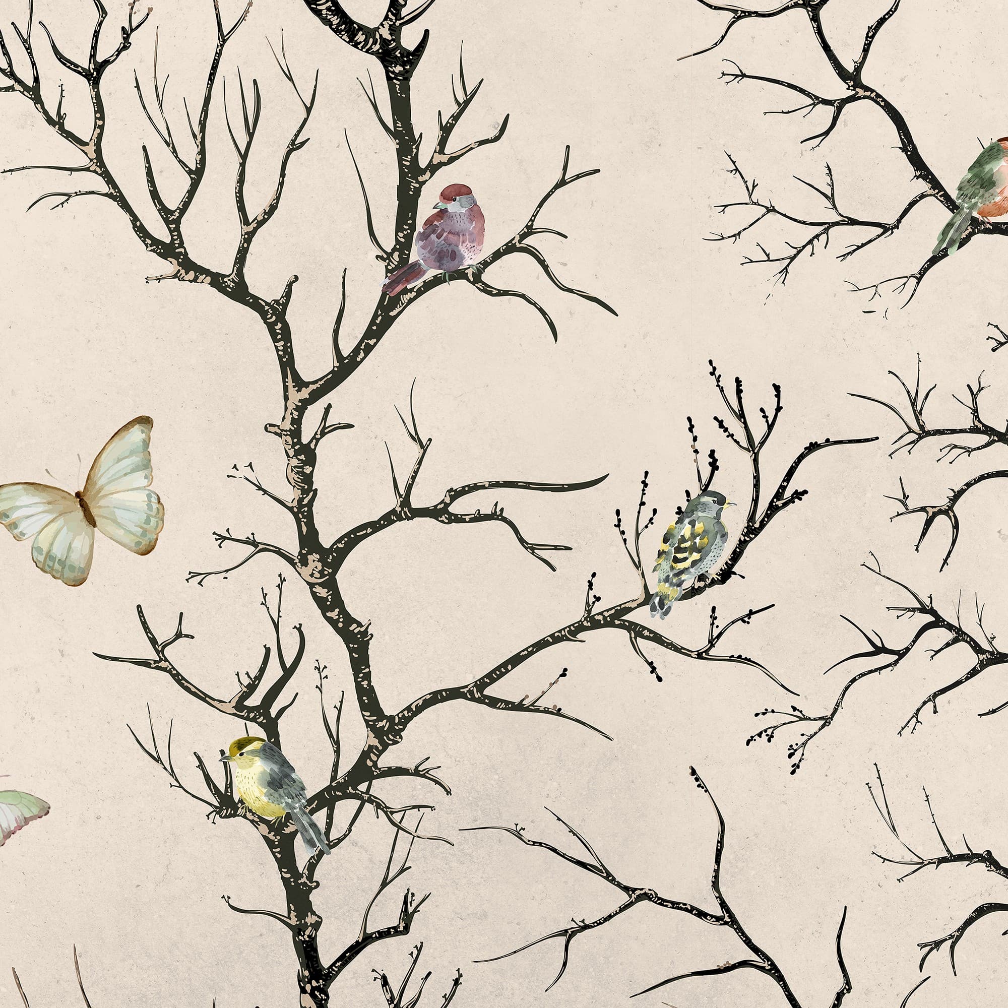 Adriani & Rossi Twigs — фото 1