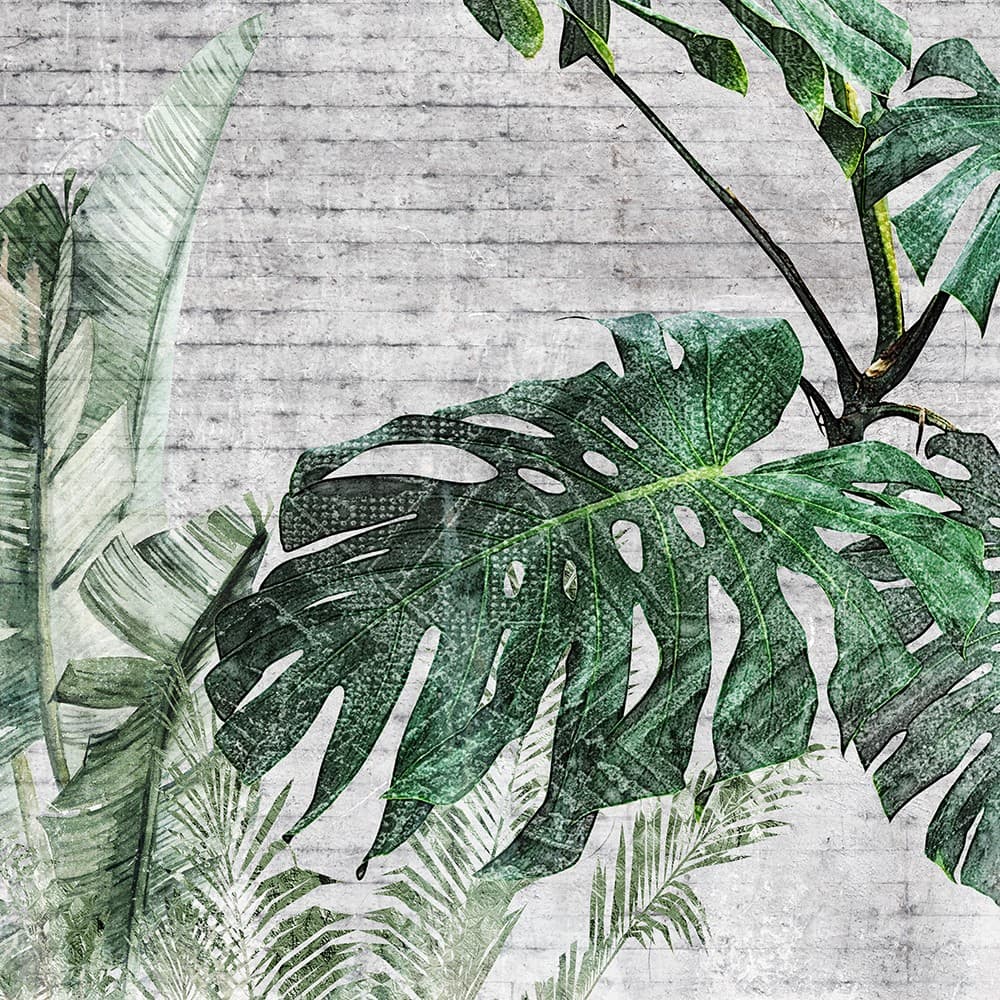 Adriani & Rossi Mesh