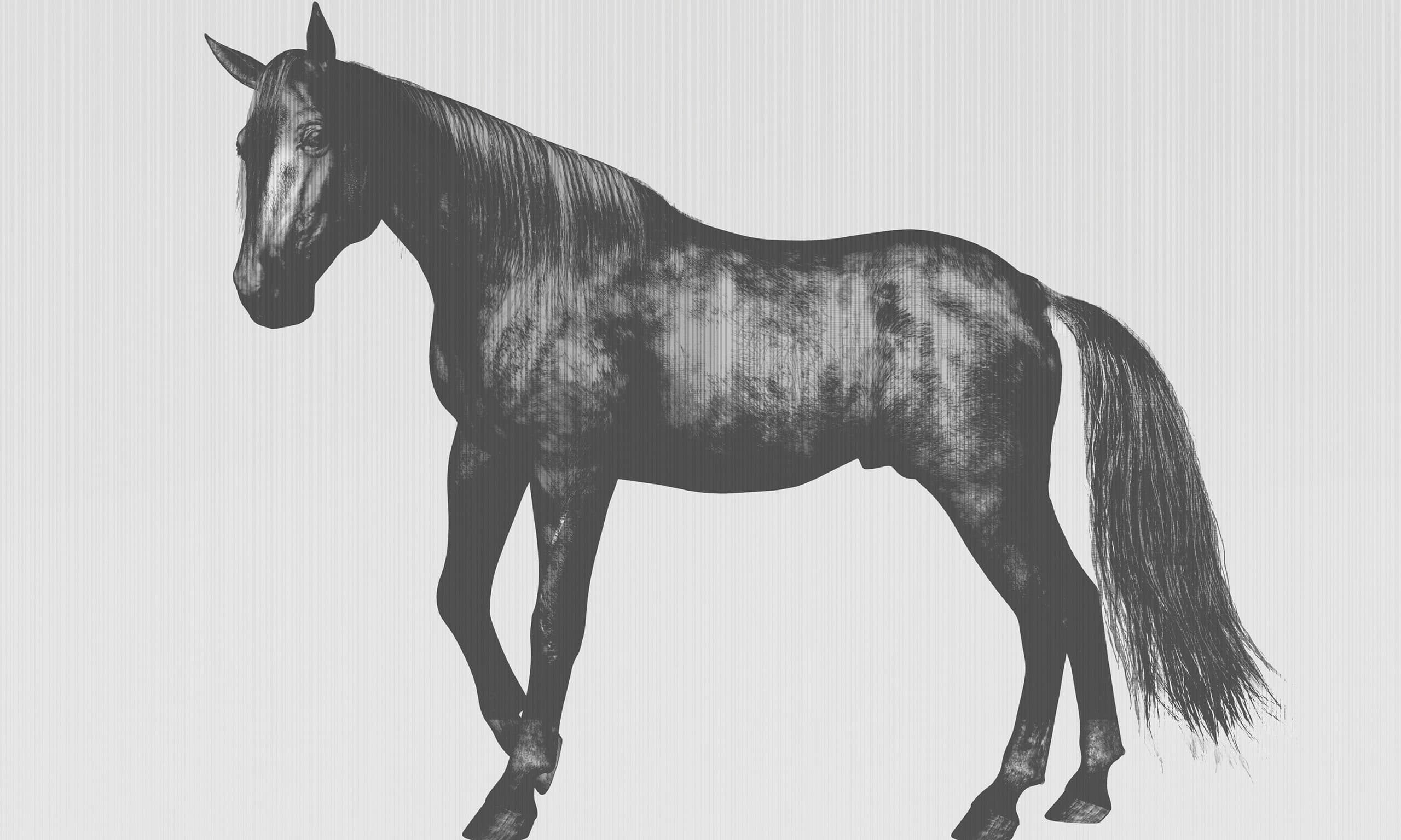 Adriani & Rossi Varen — фото 2