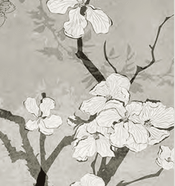 Adriani & Rossi Theater Oriente — фото 4