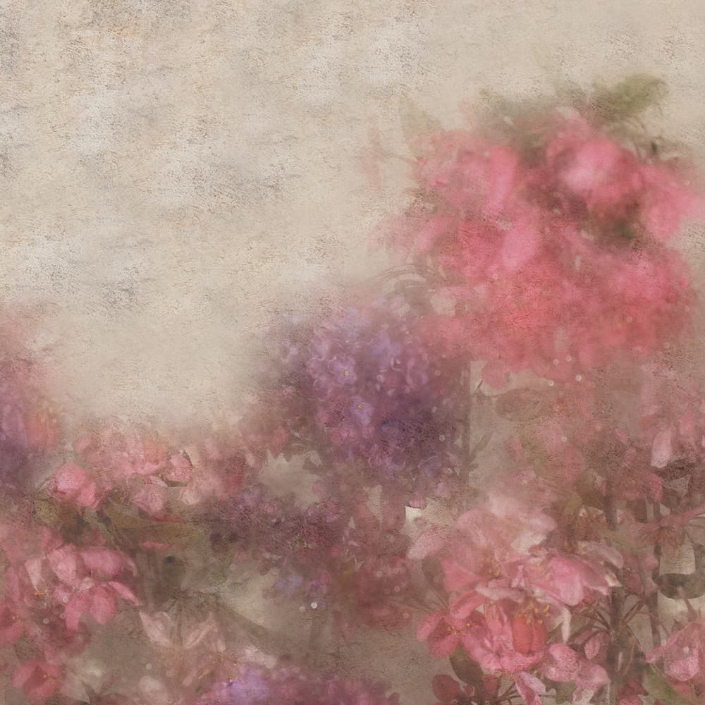 Adriani & Rossi Souvenir — фото 1