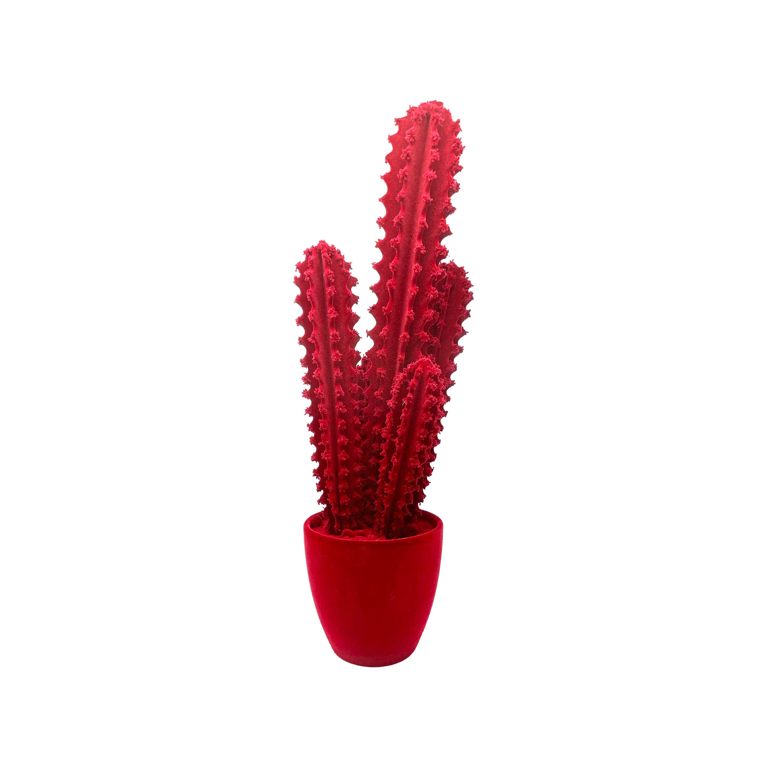 Adriani & Rossi Pickly Cactus Velvet