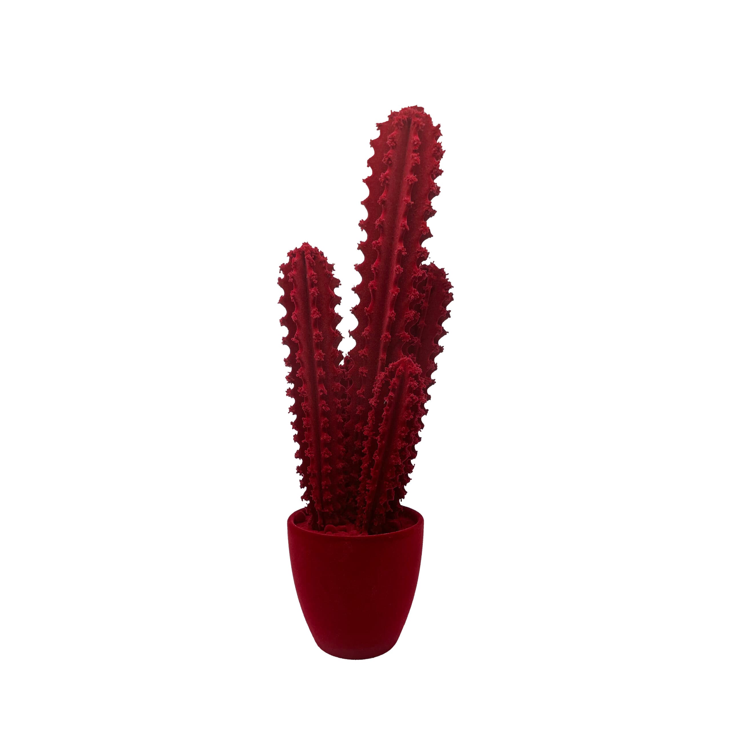 Adriani & Rossi Pickly Cactus Velvet