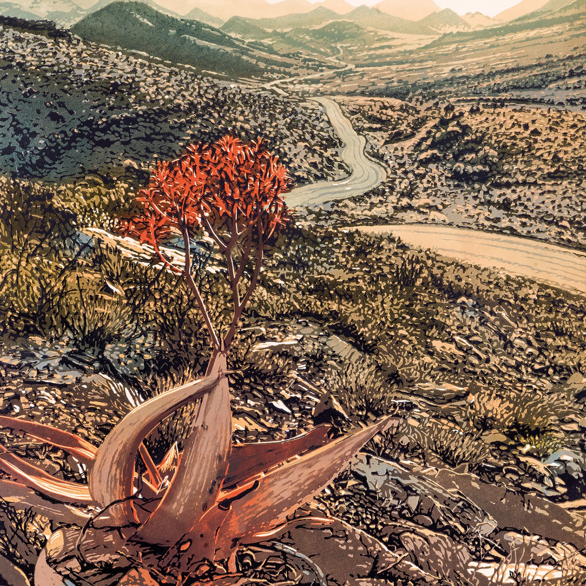 Adriani & Rossi WP20024_ARTE — фото 1