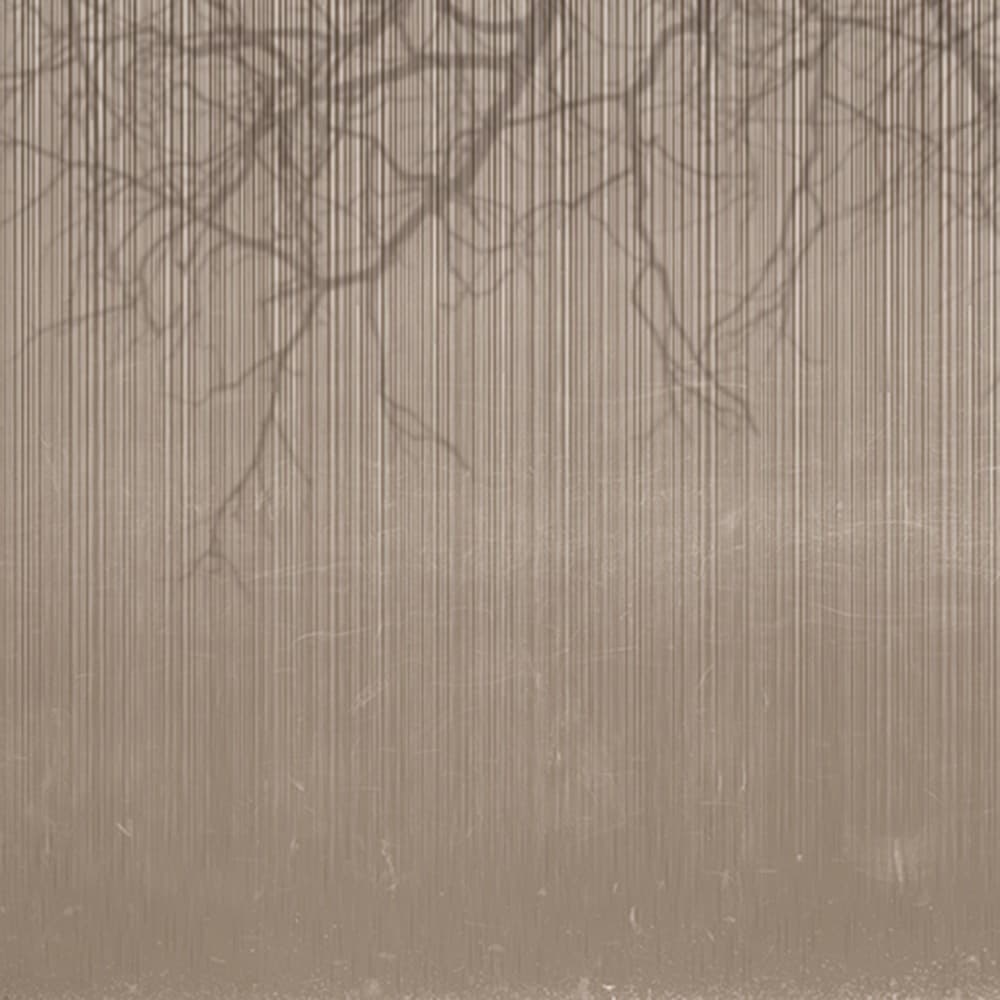 Adriani & Rossi Fluente_1 — фото 1