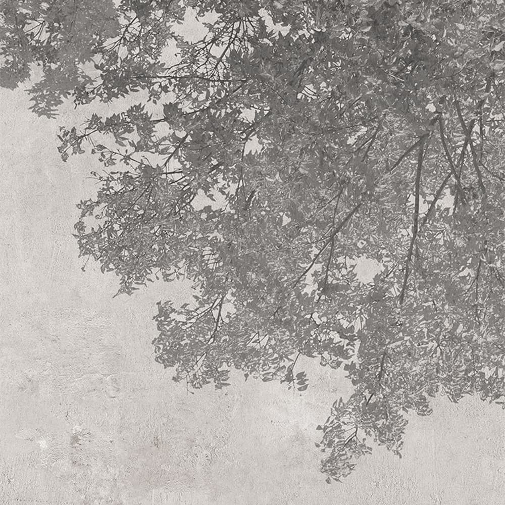 Adriani & Rossi Shades Nature — фото 1