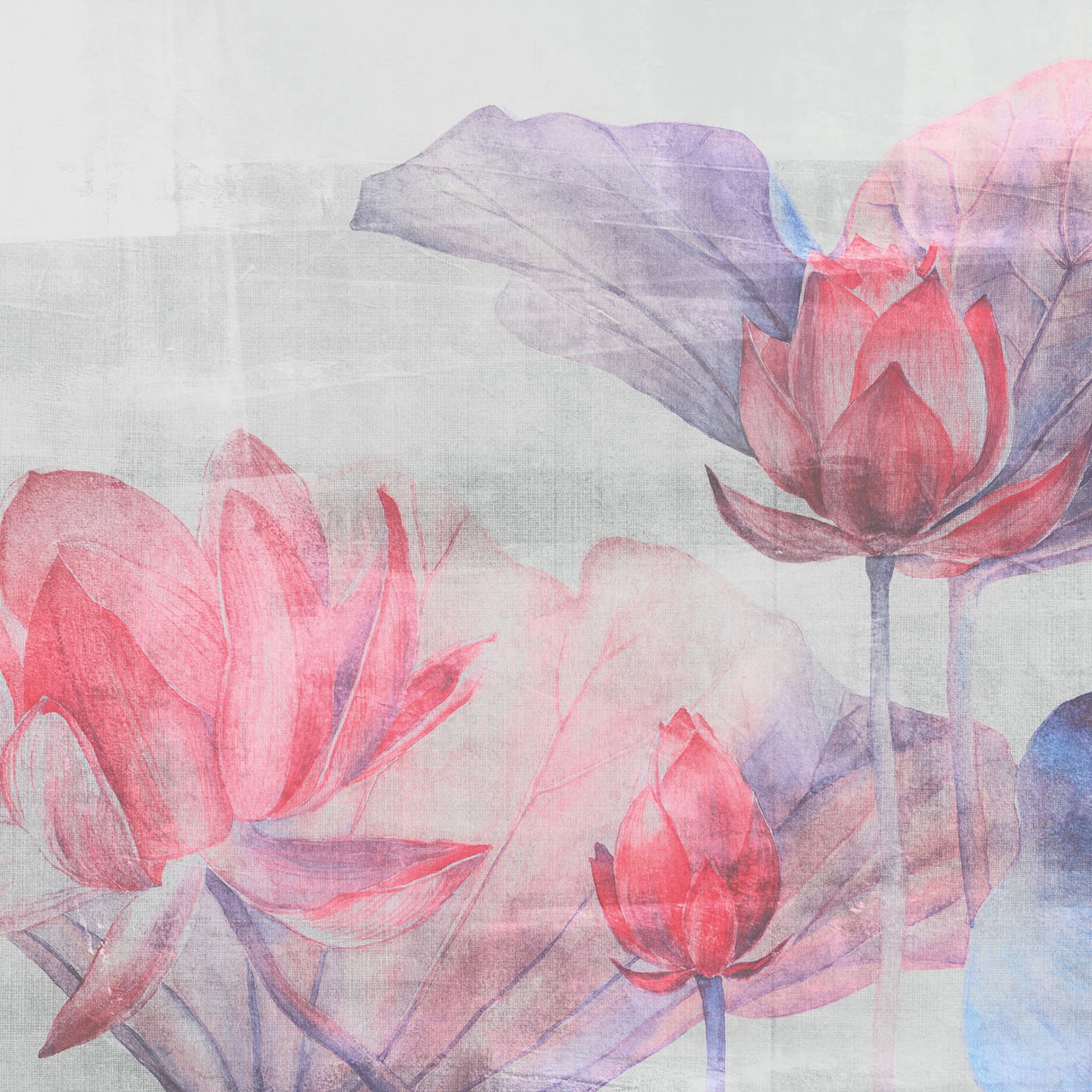 Adriani & Rossi Ninfee — фото 1