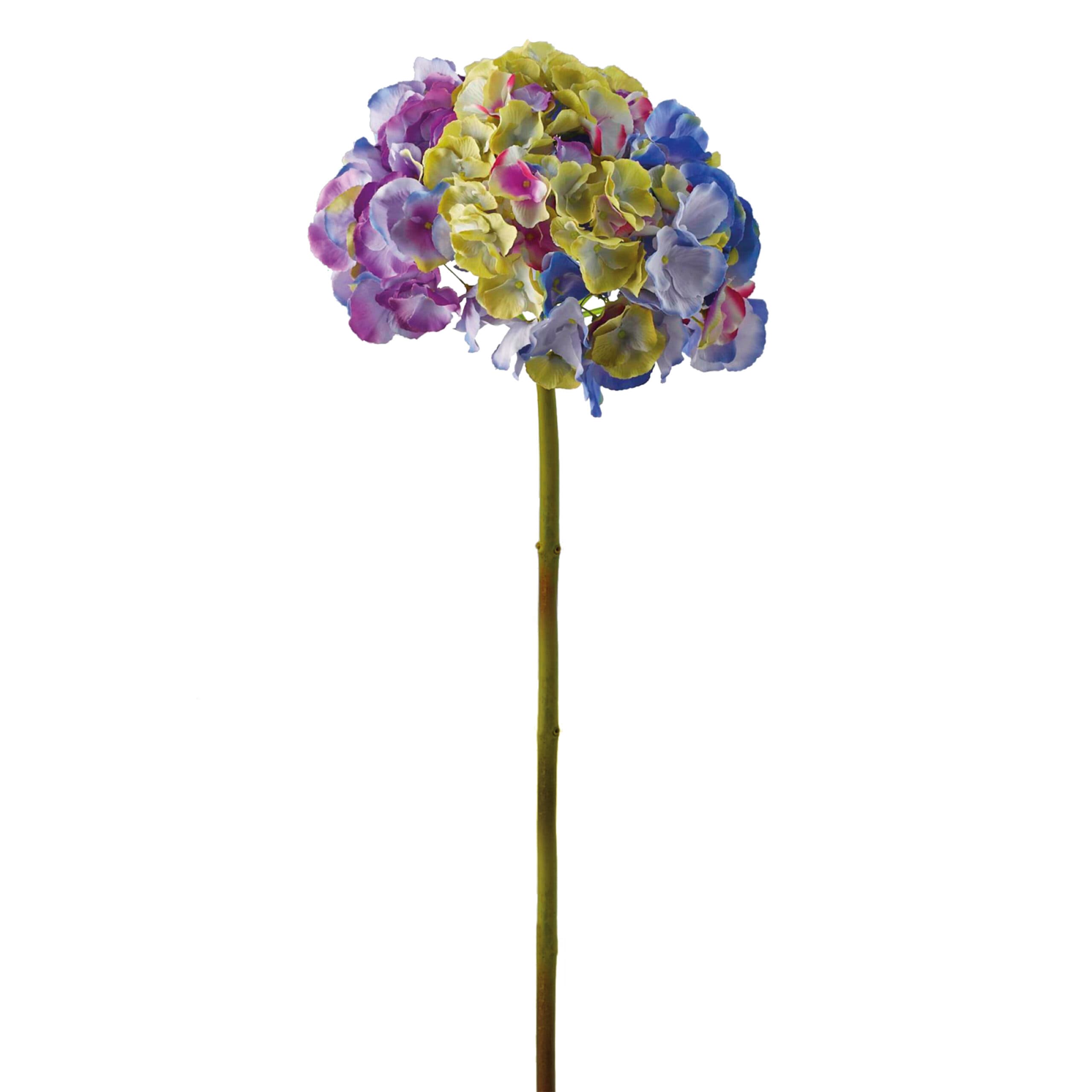 Adriani & Rossi Fiore Ortensia