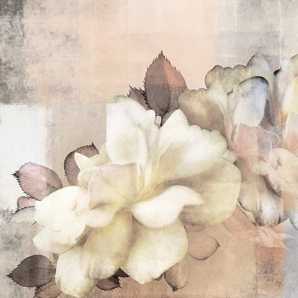 Adriani & Rossi Big flowers_3 — фото 1