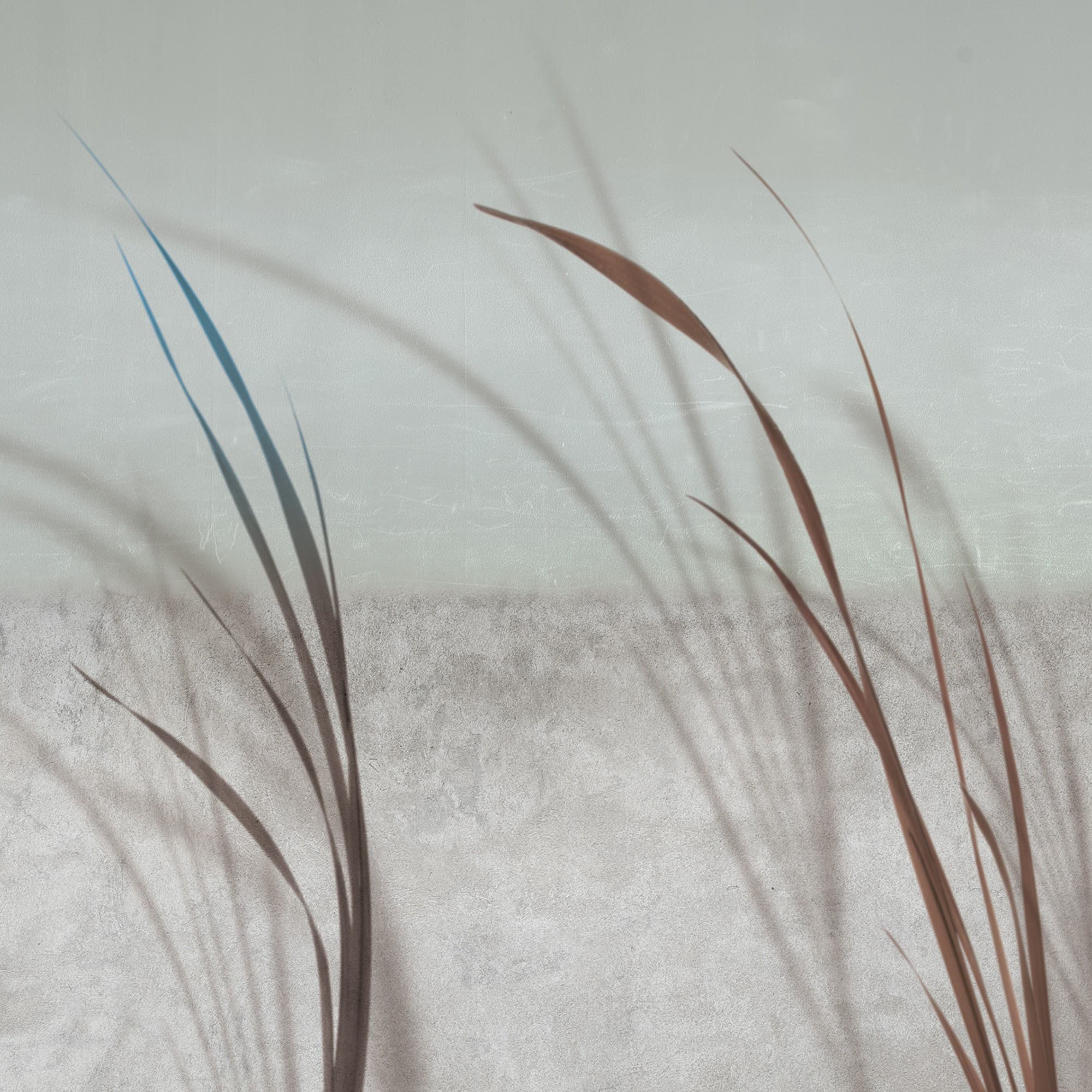 Adriani & Rossi Avant Gazon — фото 1