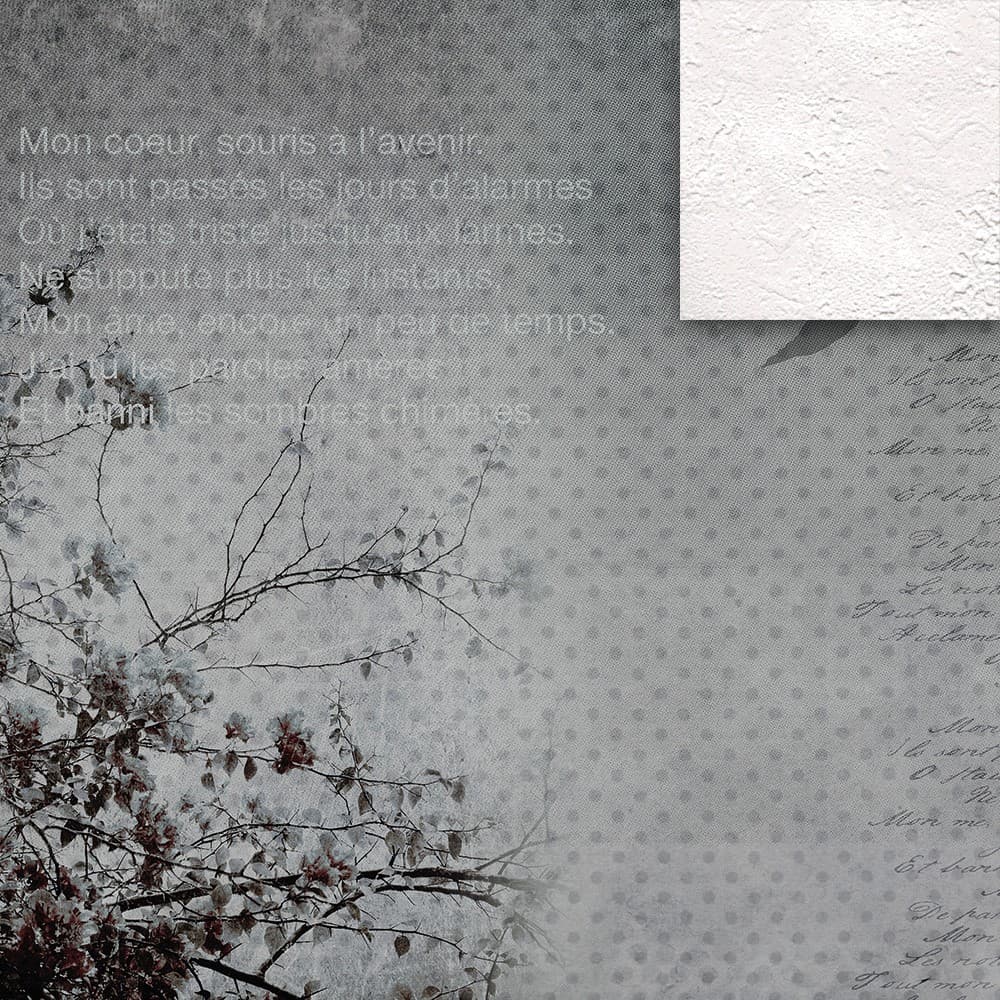 Adriani & Rossi Style_2 — фото 5