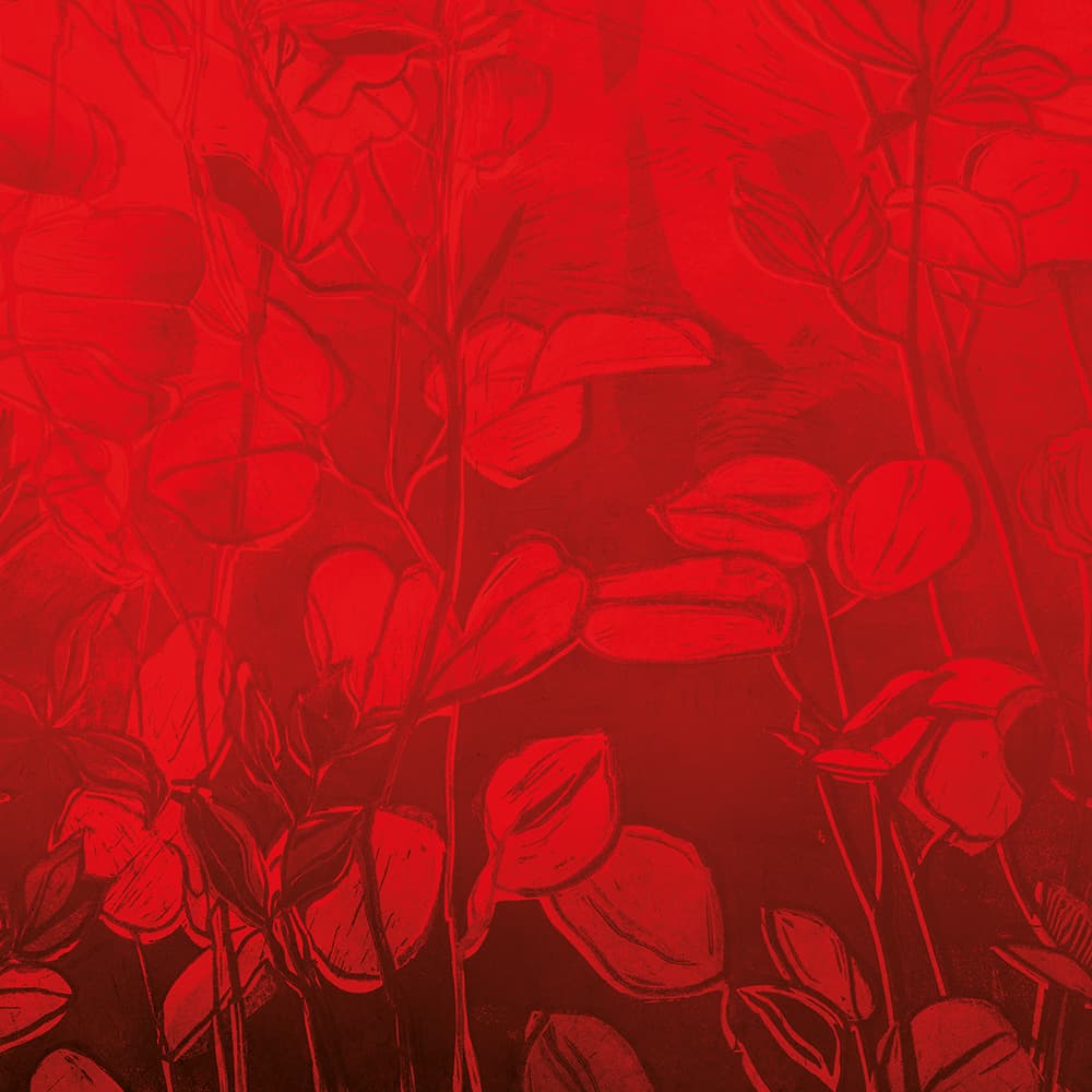 Adriani & Rossi Lover — фото 1