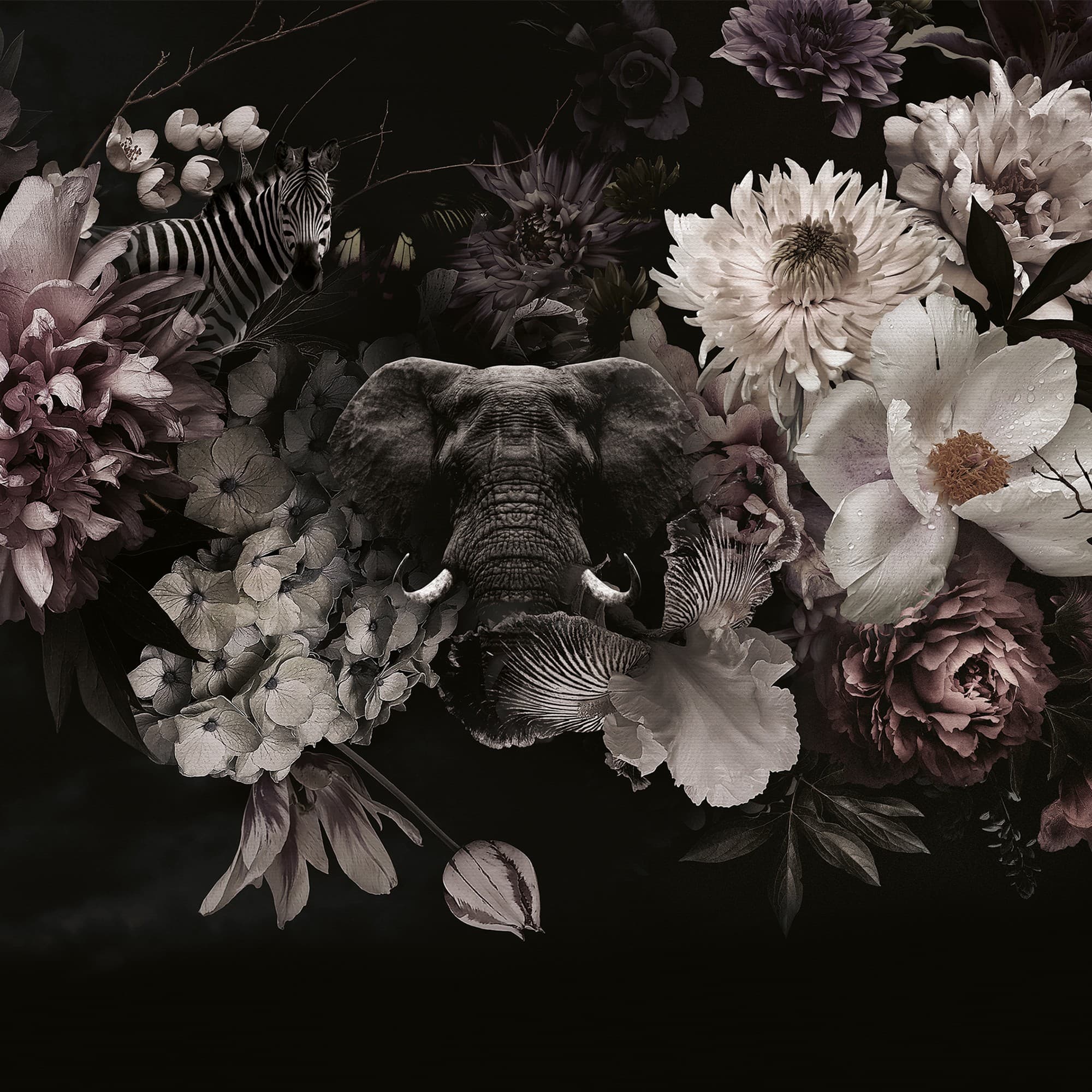 Adriani & Rossi Francis — фото 1