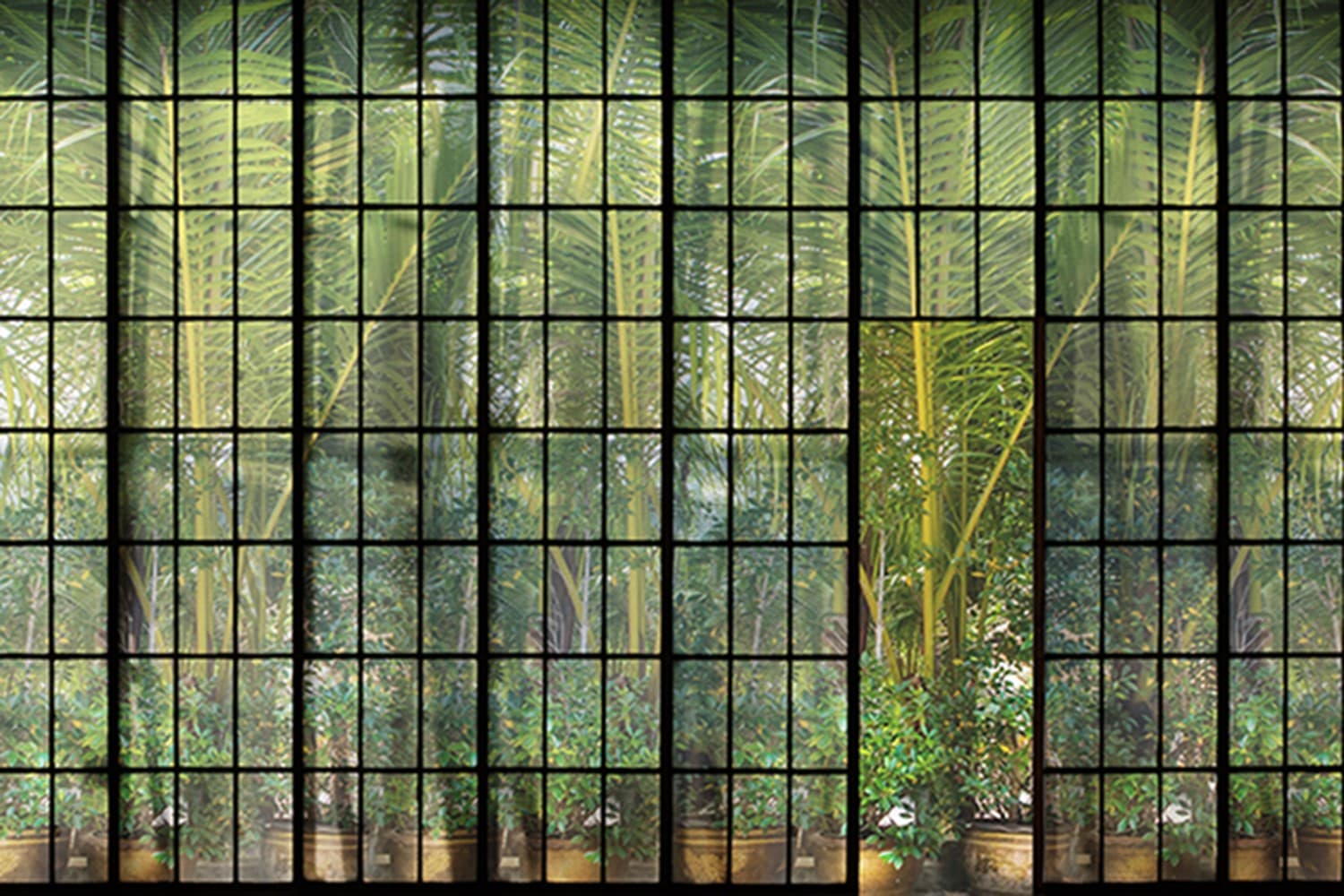 Adriani & Rossi Green Wall — фото 3