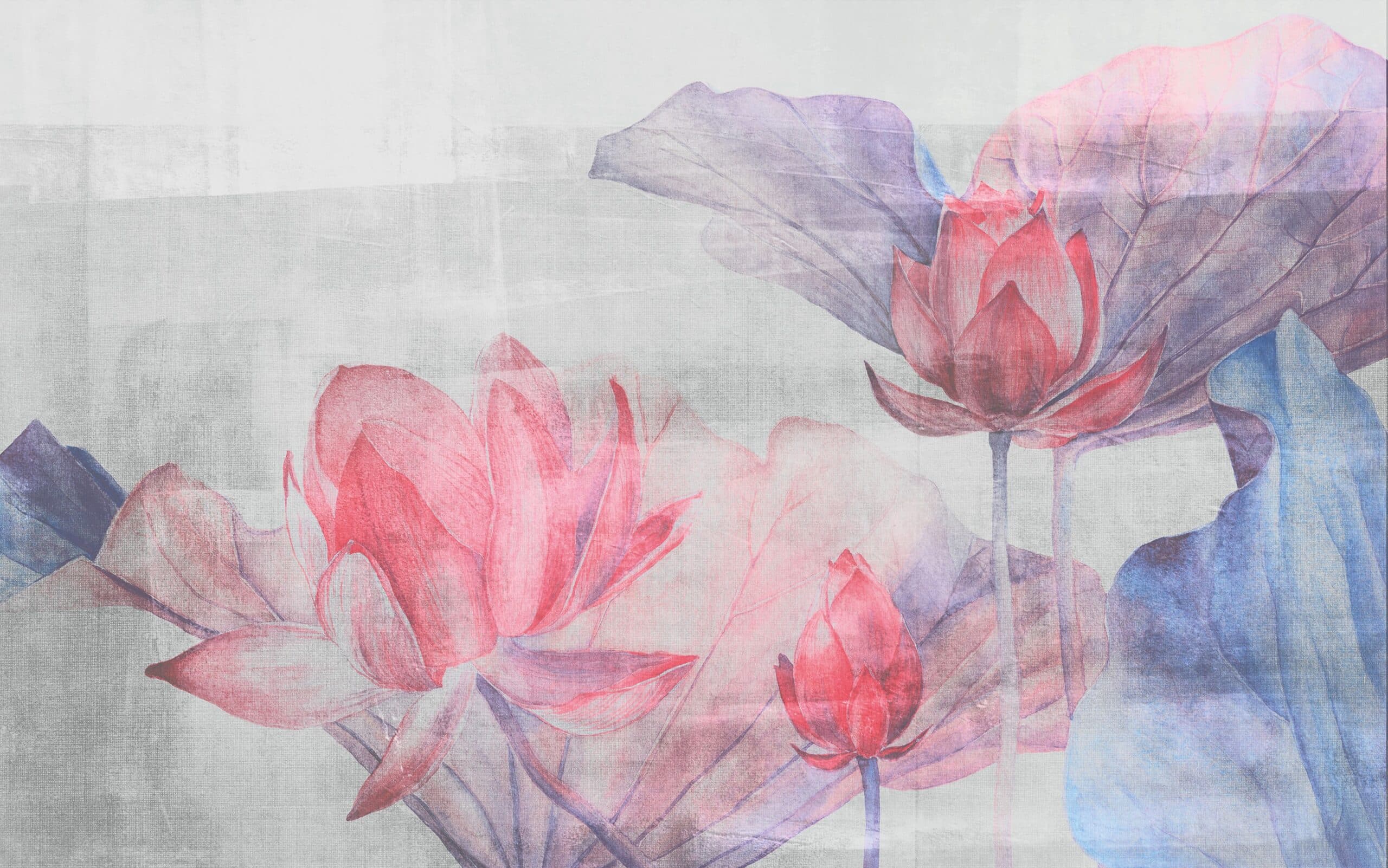 Adriani & Rossi Ninfee — фото 3