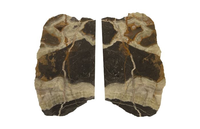 Phillips Collection Настенный светильник Philips Collection Onyx Butterfly Sconce — фото 4