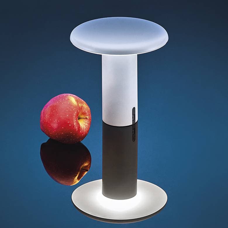 Настольный светильник Artemide Takku