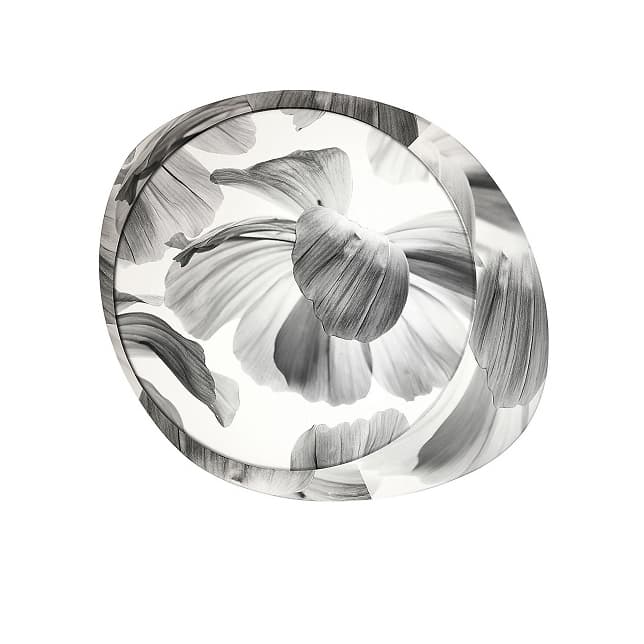 Потолочный светильник Foscarini Wagashi medium