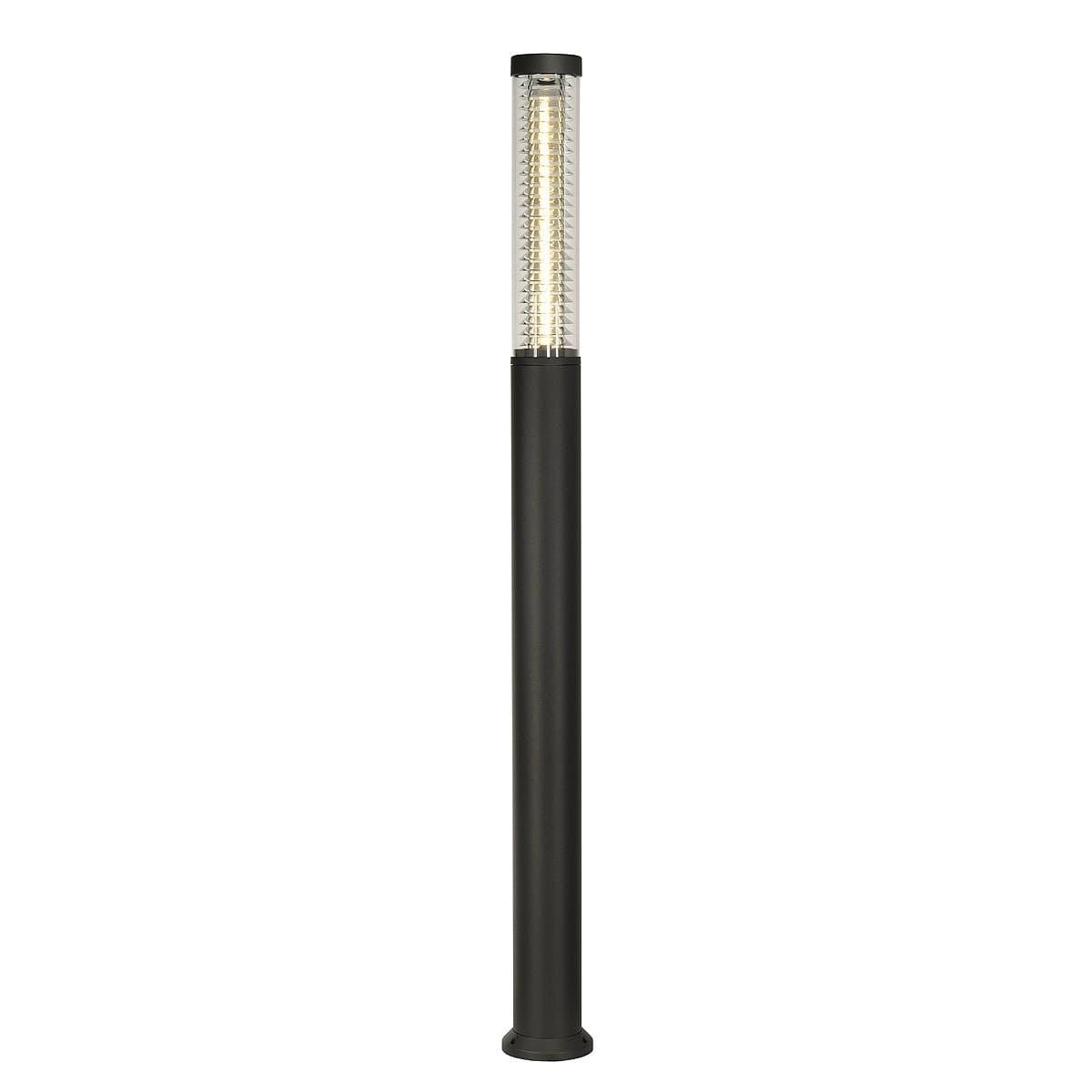 SLV — POLE PARC