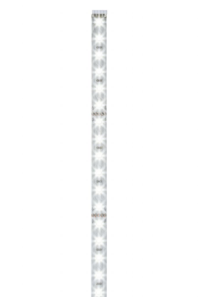 Paulmann Stripe Daylight 50cm 70584