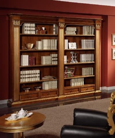 Scappini Library 1