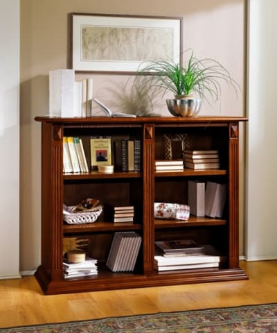 Scappini Library 2