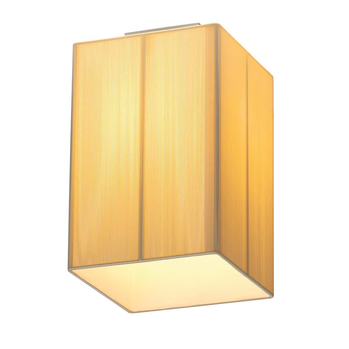 SLV — LASSON