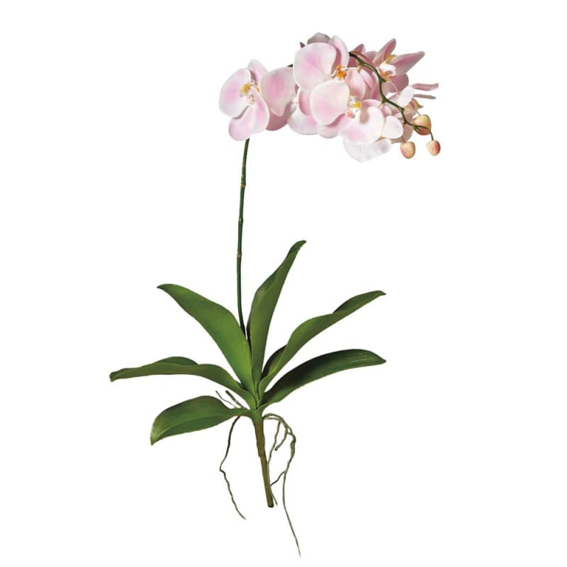 Декоративный элемент Adriani & Rossi Big Orchid flower