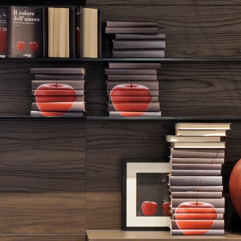 Набор декоративных книг Adriani & Rossi Books