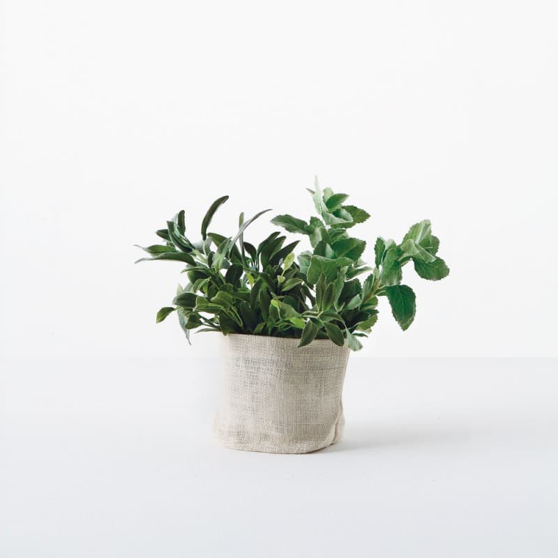 Горшок Adriani & Rossi Cylindrical flower case