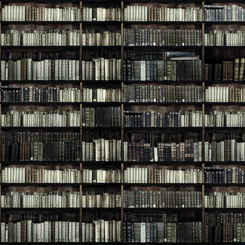 Обои Adriani & Rossi Bookcase