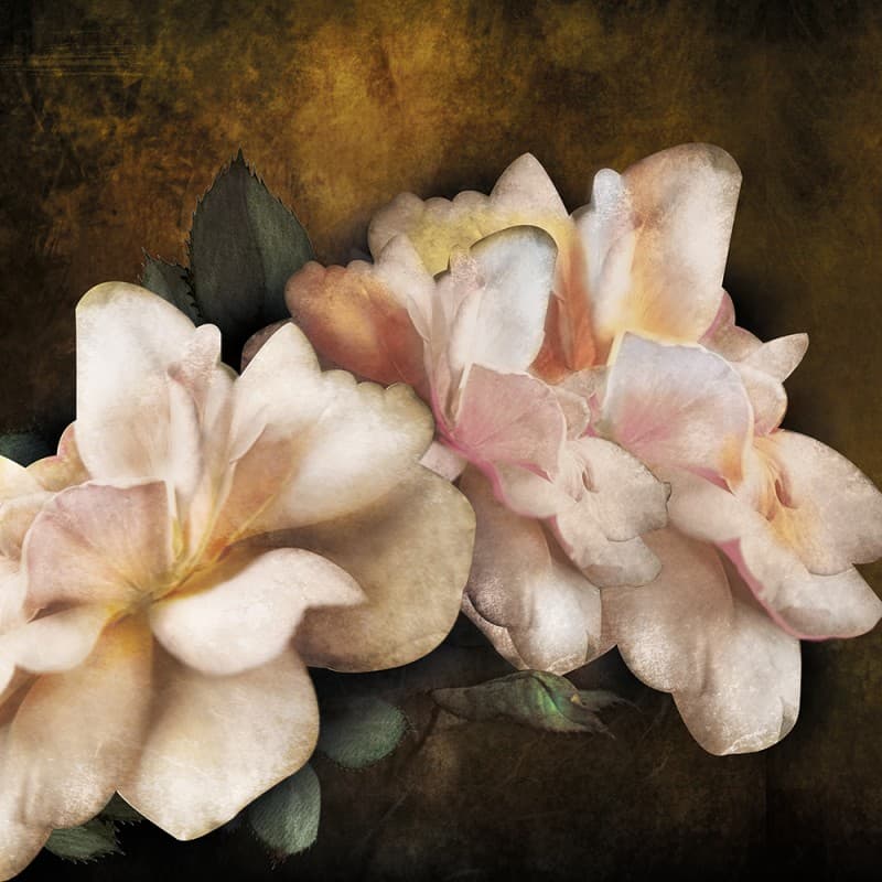 Обои Adriani & Rossi BIG FLOWERS