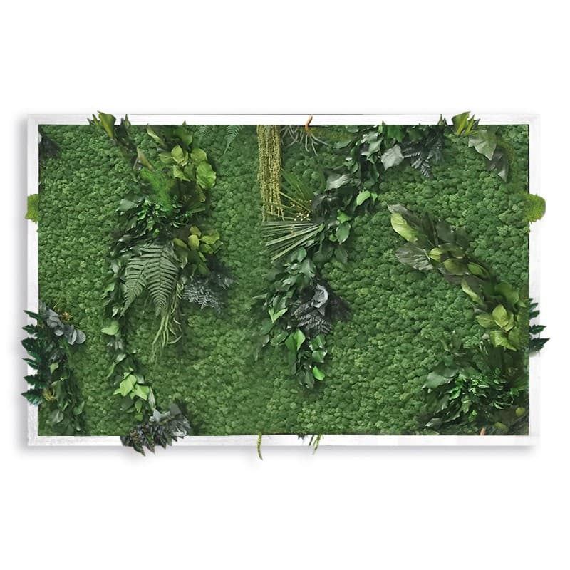 Декор "зеленая стена" Adriani & Rossi Picture Frame Delux whit lichen with leaves