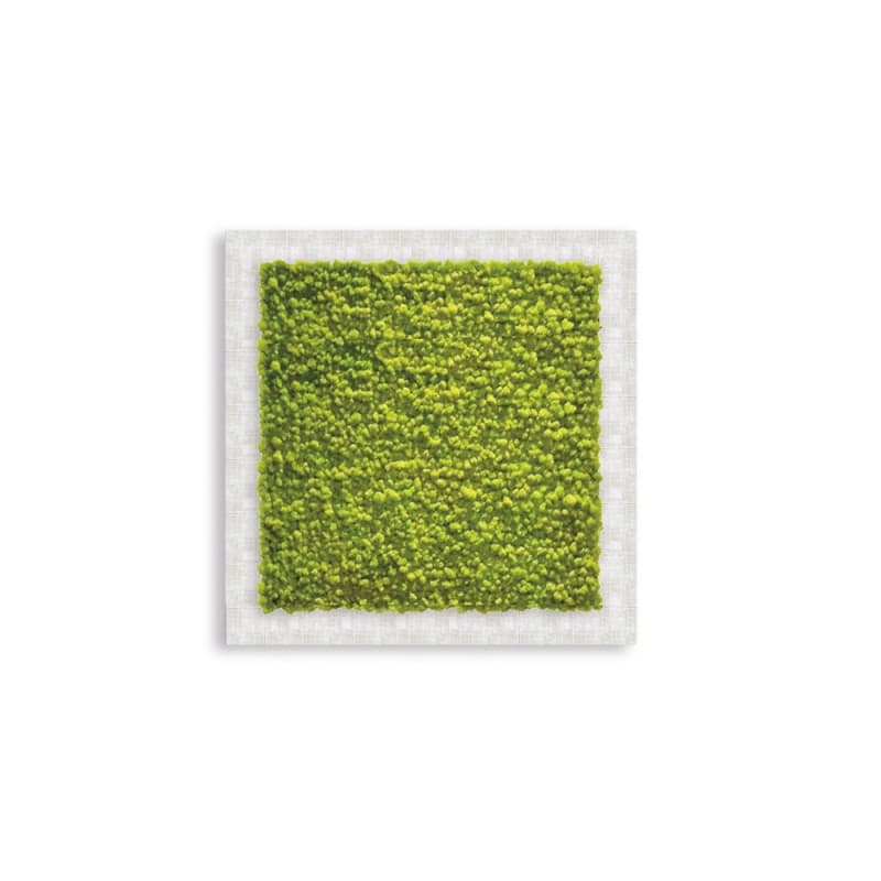 Декор "зеленая стена" Adriani & Rossi Picture Frame Pialla Lichen