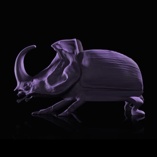 Стул Máximo Riera The Beetle Chair