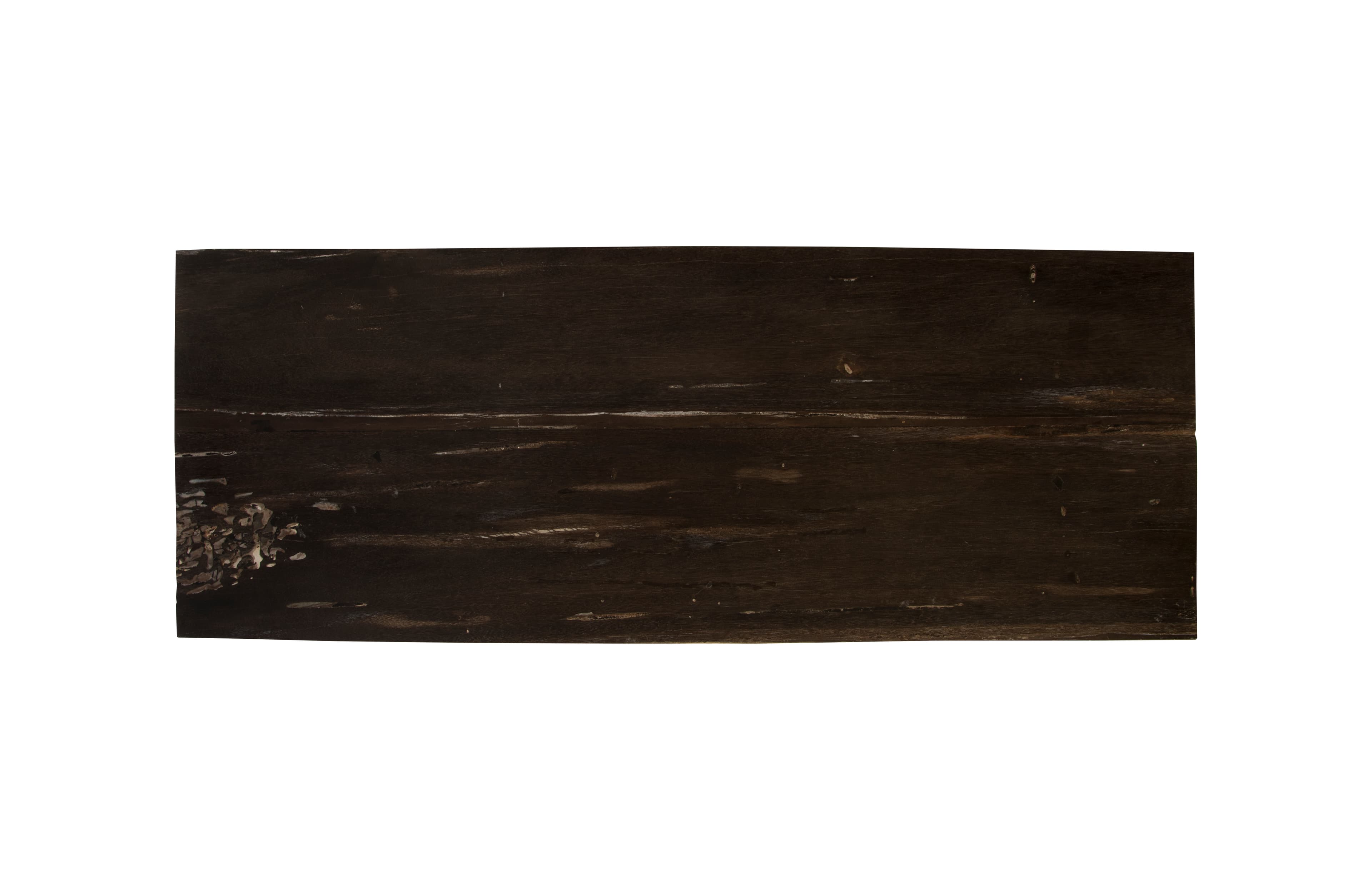 Консоль Phillips Collection Petrified Wood Console Table — фото 2